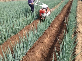 大蔥開溝培土機